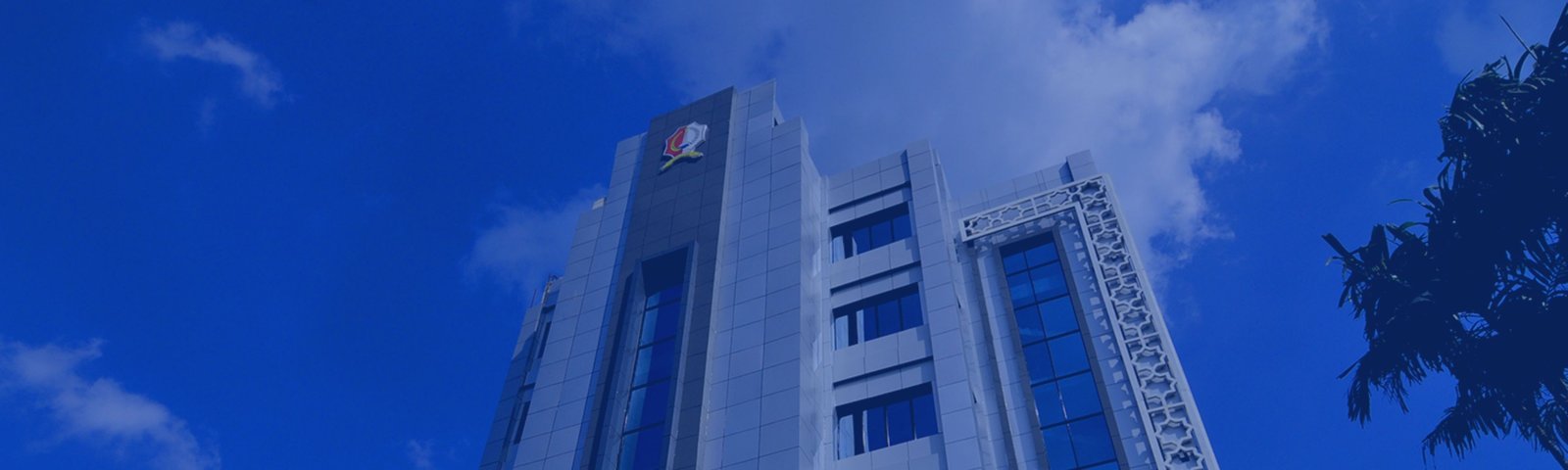 Banner Organisasi